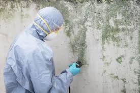 Best Comprehensive Air Testing for Mold Contaminants  in Conrad, IA